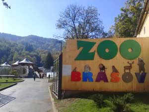 Zoo Braşov, 1 iunie 2015